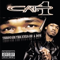 Thumbnail for the Cap.One - Through the Eyes of a Don link, provided by host site