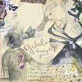Thumbnail for the Djebali - Through Years link, provided by host site