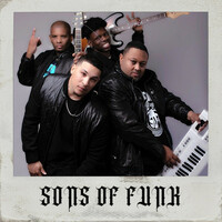 Thumbnail for the Sons Of Funk - Throw it link, provided by host site