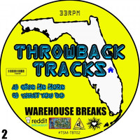 Thumbnail for the MikeNice - Throwback Tracks - Warehouse Series, Vol. 2 link, provided by host site