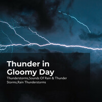 Thumbnail for the Thunderstorms - Thunder Sharp Thud link, provided by host site