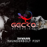 Thumbnail for the Shwann - Thunderbolt Fist link, provided by host site