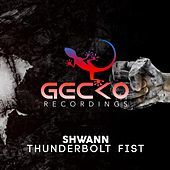 Thumbnail for the Shwann - Thunderbolt Fist link, provided by host site