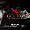 Thumbnail for the Shwann - Thunderbolt Fist link, provided by host site