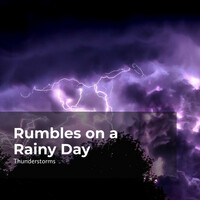 Thumbnail for the Thunderstorms - Thunderbolt in Rainfall link, provided by host site