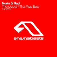 Thumbnail for the Norin & Rad - Thundercat / That Was Easy link, provided by host site