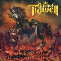 Thumbnail for the Daniel Tidwell - Thunderhorse (Metalocalypse / Dethklok) link, provided by host site