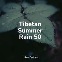 Thumbnail for the Music For Absolute Sleep - Tibetan Summer Rain 50 link, provided by host site