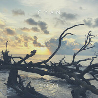 Thumbnail for the Cyan - Tidal link, provided by host site