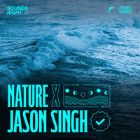 Thumbnail for the NATURE - Tidal Songs from Wales link, provided by host site