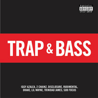 Thumbnail for the Sub Focus - Tidal Wave - Flosstradamus Remix link, provided by host site