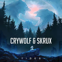 Thumbnail for the Crywolf - Tides link, provided by host site
