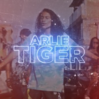 Image of Arlie linking to their artist page due to link from them being at the top of the main table on this page
