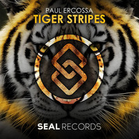 Thumbnail for the Paul Ercossa - Tiger Stripes link, provided by host site