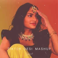 Thumbnail for the Saloni - TikTok Desi Mashup link, provided by host site