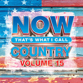 Thumbnail for the Cody Johnson - ‘Til You Can’t link, provided by host site
