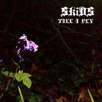Thumbnail for the SkiDs - TILL I FLY link, provided by host site