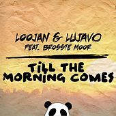 Thumbnail for the LOOJAN - Till the Morning Comes link, provided by host site