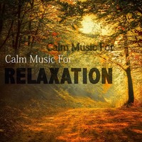 Image of Classical Music Radio linking to their artist page due to link from them being at the top of the main table on this page