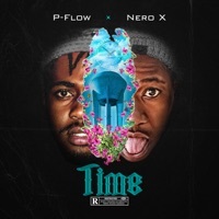 Thumbnail for the P-Flow - Time link, provided by host site