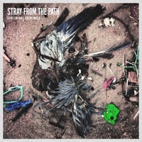 Thumbnail for the Stray From the Path - Time Bomb link, provided by host site