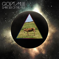 Image of Gov't Mule linking to their artist page due to link from them being at the top of the main table on this page