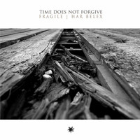 Thumbnail for the Fragile - Time Does Not Forgive link, provided by host site