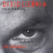 Thumbnail for the David Liebman - Time Immemorial link, provided by host site