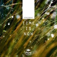 Thumbnail for the Spacebeat - Time Is Now link, provided by host site