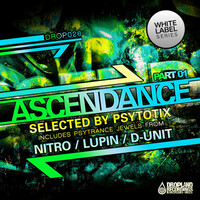 Thumbnail for the D-Unit - Time to Fly - Original Mix link, provided by host site
