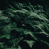 Thumbnail for the Asian Zen Meditation - Timeless Sleep and Relaxation link, provided by host site