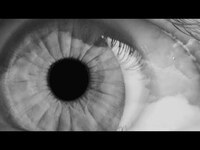 Thumbnail for the The Boxer Rebellion - Diamonds (Further Than I Ever Was) link, provided by host site