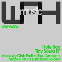 Thumbnail for the Hole Box - Tiny Soula link, provided by host site