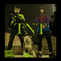 Thumbnail for the TOBi - TNT link, provided by host site