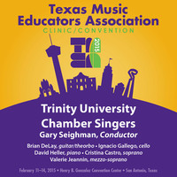 Thumbnail for the Gunnar Eriksson - To the Mothers in Brazil (Salve regina) [Arr. G. Eriksson for Choir] link, provided by host site