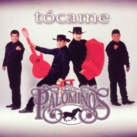 Image of Los Palominos linking to their artist page due to link from them being at the top of the main table on this page