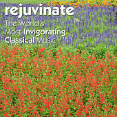 Thumbnail for the Edward Brewer - Toccata link, provided by host site