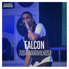 Thumbnail for the Falcon - Toda Maravilhosa link, provided by host site
