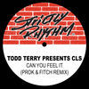 Thumbnail for the CLS - Todd Terry Presents: Can You Feel It (Prok & Fitch Remix) link, provided by host site