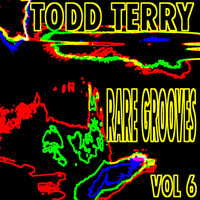 Thumbnail for the Todd Terry - Todd Terry's Rare Grooves Vol. VI link, provided by host site
