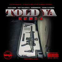 Thumbnail for the Gucci Mane - Told Ya (Remix) link, provided by host site