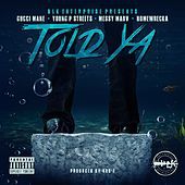 Thumbnail for the Homewrecka - Told Ya link, provided by host site