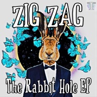 Thumbnail for the Zig-Zag - Told You So link, provided by host site