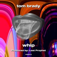 Thumbnail for the The Whip - tom brady link, provided by host site