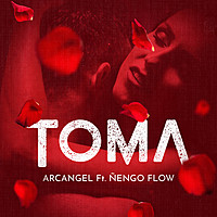 Thumbnail for the Arcangel - Toma link, provided by host site