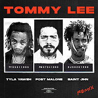 Thumbnail for the Tyla Yaweh - Tommy Lee [Remix] link, provided by host site