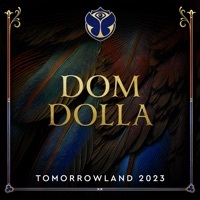 Thumbnail for the Dom Dolla - Tomorrowland 2023: Dom Dolla at Mainstage, Weekend 2 (DJ Mix) link, provided by host site