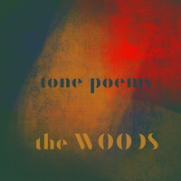 Thumbnail for the The Woods - Tone Poems link, provided by host site