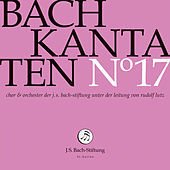 Thumbnail for the Michaela Selinger - Tönet, ihr Pauken! Erschallet, Trompeten!, BWV 214: Recitative: Unsre Konigin im Lande, die der Himmel zu uns sandte (Alto) link, provided by host site