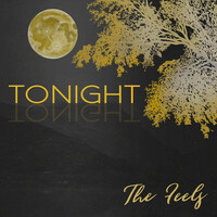 Thumbnail for the The Feels - Tonight link, provided by host site